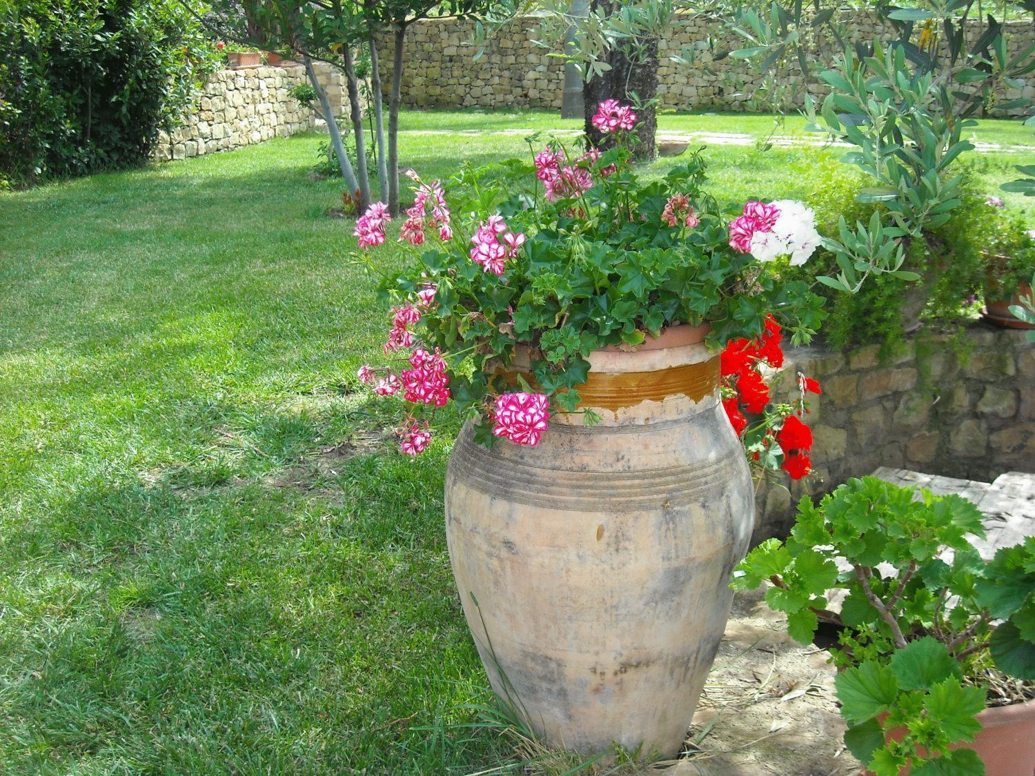 Agriturismo Villa Luca SantʼAgata di Militello Екстериор снимка